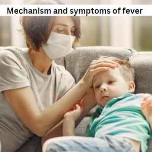 mechanism and symptoms of fever