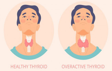 healthy thyroid and overactive thyroid