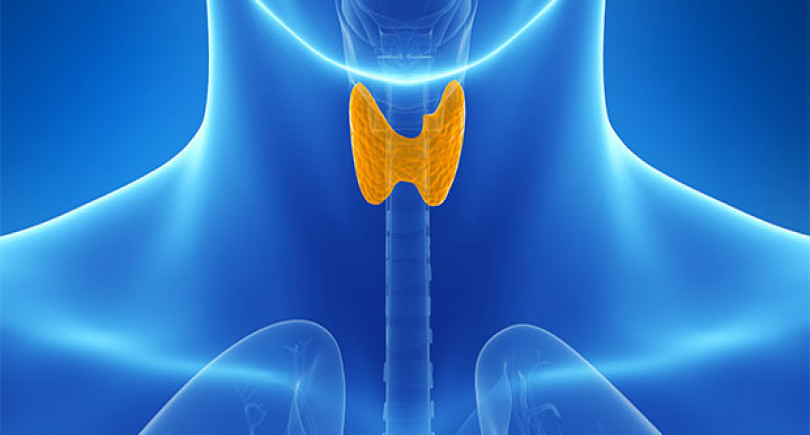 thyroid treatment in homeopathic