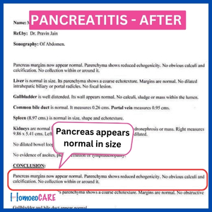 Homeopathic Treatment for Pancreas