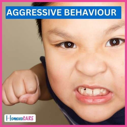 Homoeopathic Treatment for Agressive Behaviour
