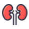 kidney stone icon